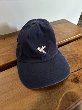 Birddogs Navy Baseball Hat